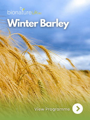 Winter Barley_thumbnail